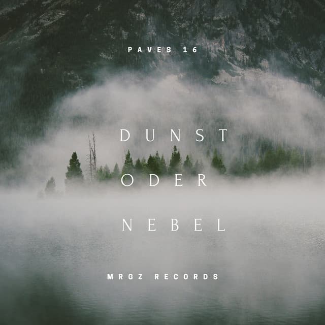 Dunst oder Nebel artwork